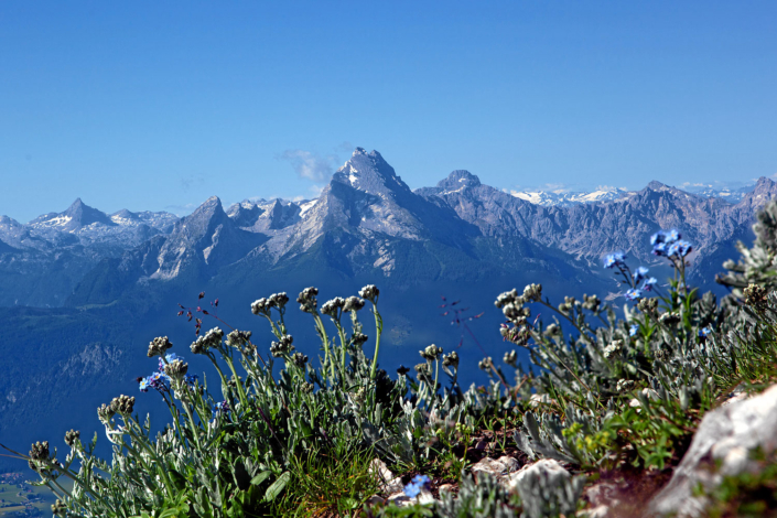 Watzmann