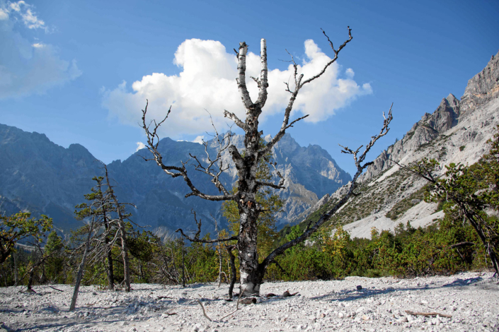 Wimbachgries